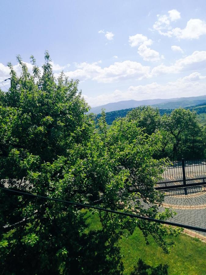 Villa Dom Pod Jabloniami Lukowica Exterior foto