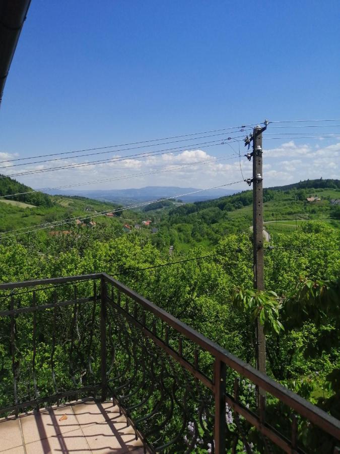 Villa Dom Pod Jabloniami Lukowica Exterior foto