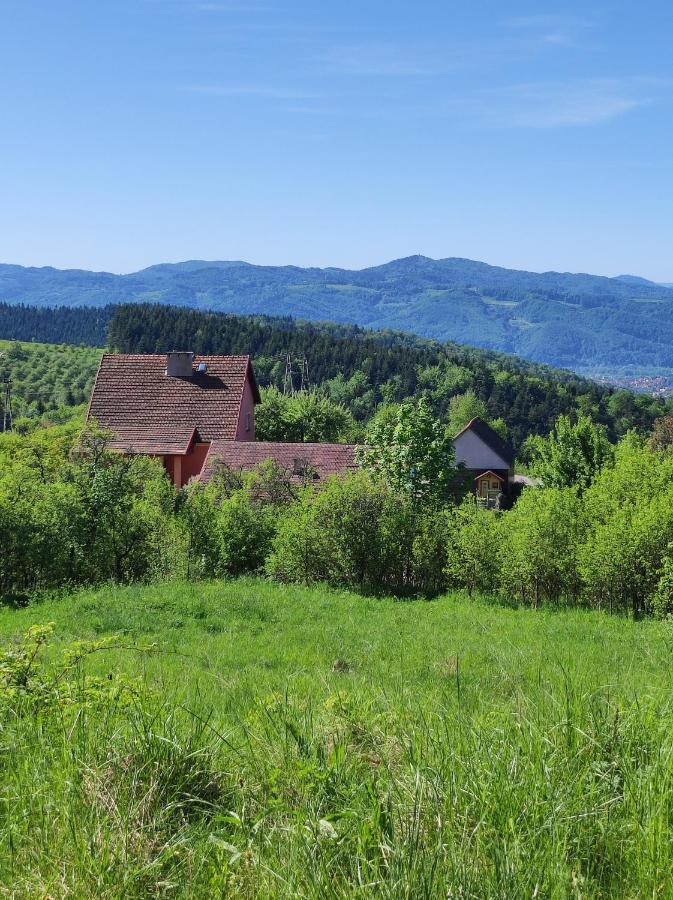 Villa Dom Pod Jabloniami Lukowica Exterior foto