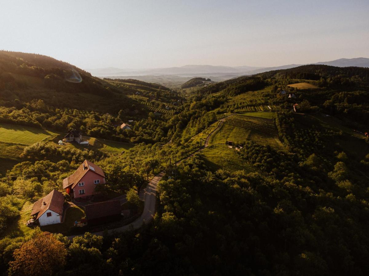 Villa Dom Pod Jabloniami Lukowica Exterior foto
